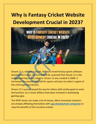 Why is Fantasy Cricket Website Development Crucial in 2023