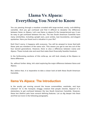 Llama Vs Alpaca  Everything You Need to Know
