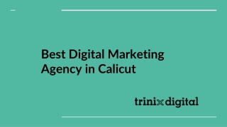 Best Digital Marketing Agency in Calicut