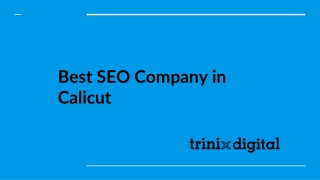 Best SEO Company in Calicut