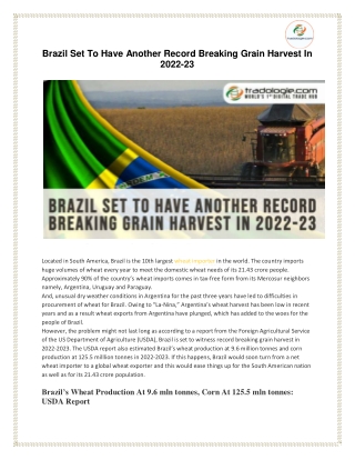 Brazil Set To Have Another Record Breaking Grain Harvest In 2022