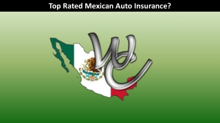 Top Rated Mexican Auto Insurance