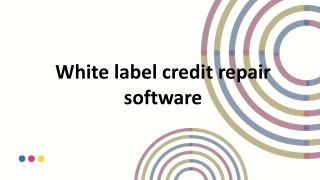 White label credit repair software