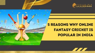 5 Reasons Why Online Fantasy Cricket is Popular in India - Golden444