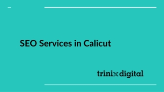 SEO Services | SEO Company | SEO Calicut