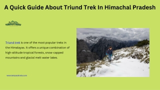 A Quick Guide About Triund Trek In Himachal Pradesh