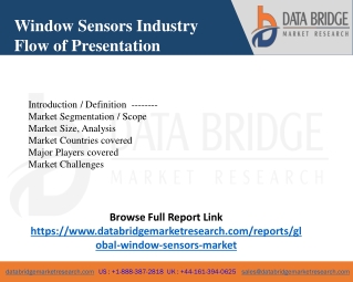 Window Sensors Industry