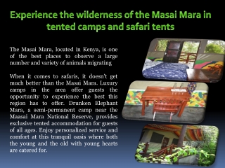 Experience the wilderness of the Masai Mara in tented camps and safari tents