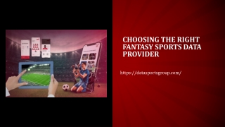 Choosing the right fantasy sports data provider