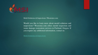 Mold Solutions & Inspections  Wearemsi.com