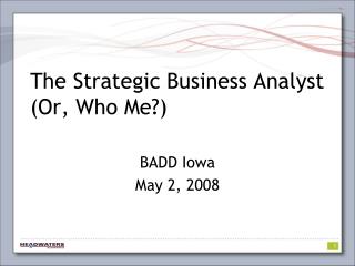 The Strategic Business Analyst (Or, Who Me?)