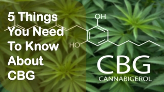 5 Things You Need To Know About CBG