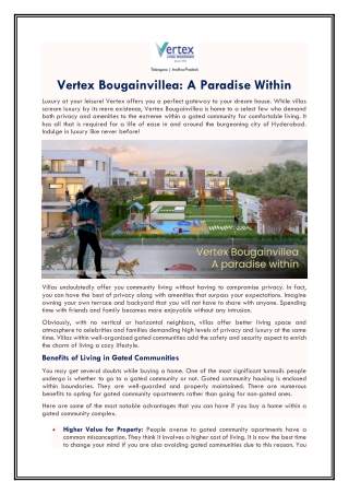 Vertex Bougainvillea A Paradise Within