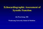 Echocardiographic Assessment of Systolic Function