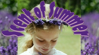 Scent of summer3