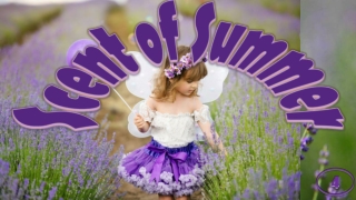 Scent of summer4