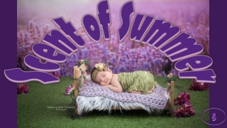Scent of summer5