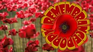 Remembrance poppy
