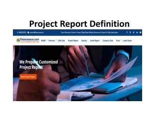 Project Report Definition