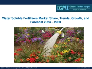 Water Soluble Fertilizers Market Share, Trends, Growth, and Forecast 2023 – 2030