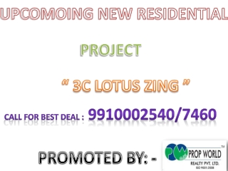 lotus zing,9910002540,lotus zing Noida, 3c lotus zing,3c lot