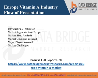 Europe Vitamin A Market  Scope