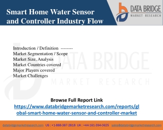 Smart Home Water Sensor and Controller Market Scope