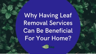 Why Having Leaf Removal Services Can Be Beneficial For Your Home?