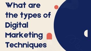 What are the types of Digital Marketing Techniques