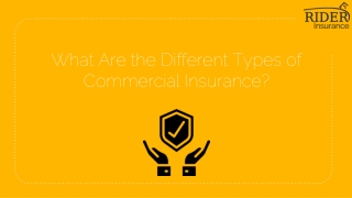 What Are the Different Types of Commercial Insurance?