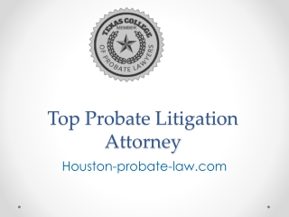 Top Probate Litigation Attorney - Houston-probate-law.com