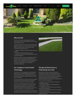 Best Artificial Grass