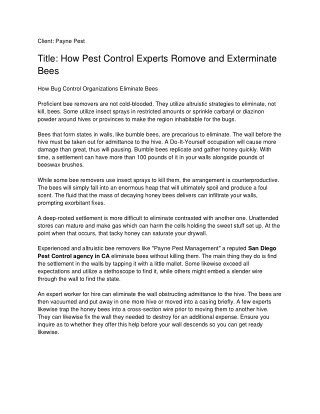 How Pest Control Experts Romove and Exterminate Bees_ Payne Pest