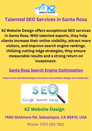 Talented SEO Services in Santa Rosa