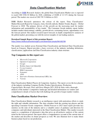 Data Classification Market