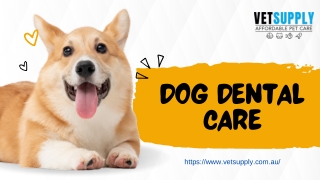 VetSupply Provides Dog Dental Care Products | Dog Dental Chews | VetSupply