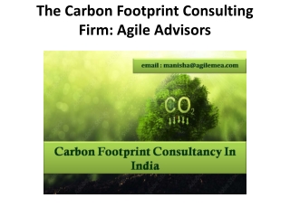 The Carbon Footprint Consulting Firm: Agile Advisors