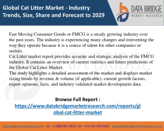 Cat Litter Market -FMCG