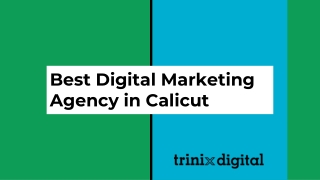 Best Digital Marketing Agency in Calicut