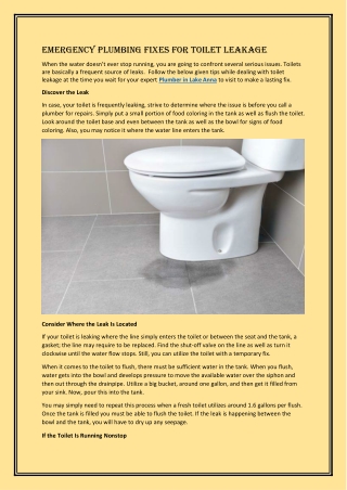 Emergency Plumbing Fixes for Toilet Leakage