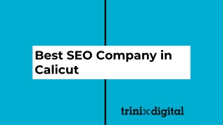 Get Top Ranking on Google Searches | SEO Company