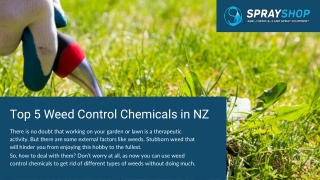 Top 5 Weed Control Chemicals in NZ