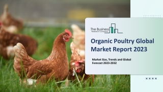 Organic Poultry Market Growth Factors Along With Recent Trends And Forecast 2032