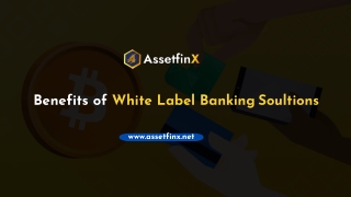 Benefits of White Label Banking Solutions