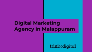 Digital Marketing Agency in Malappuram