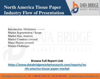 North America Tissue Paper Industry