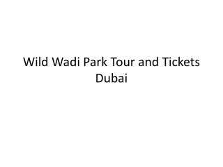 Wild Wadi Park Tour and Tickets Dubai