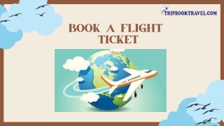Book a flight ticket