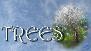 Trees 1