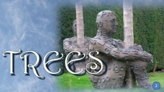 Trees 2